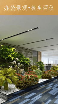 辦公景觀?極生兩儀