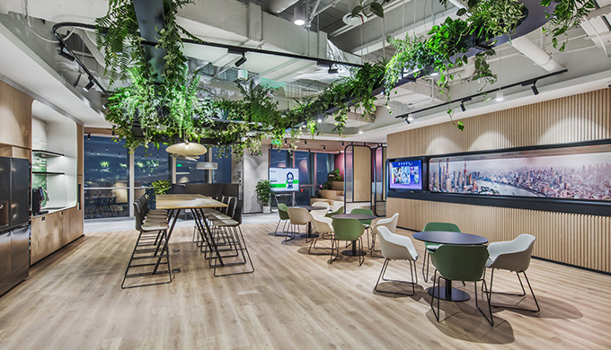 辦公室裝修綠植設計的重要性
