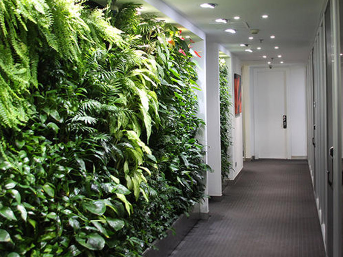 上海辦公室裝修怎么做更環(huán)保? -上海齊建裝飾